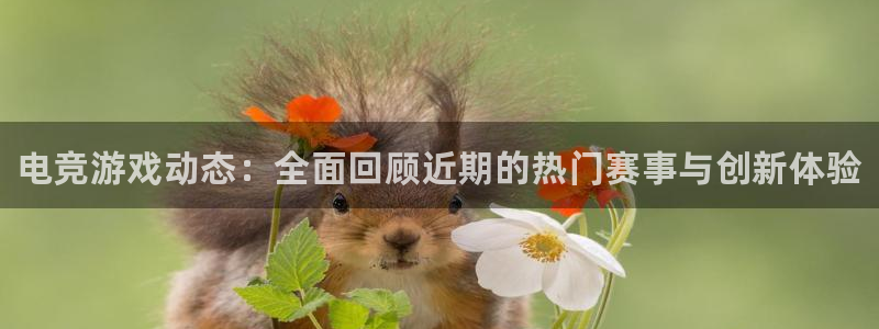 高德娱乐Ii：电竞游戏动态：全面回顾近期的热门赛事与创新体验