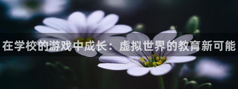 高德娱乐测速：在学校的游戏中成长：虚拟世界的教育新可能