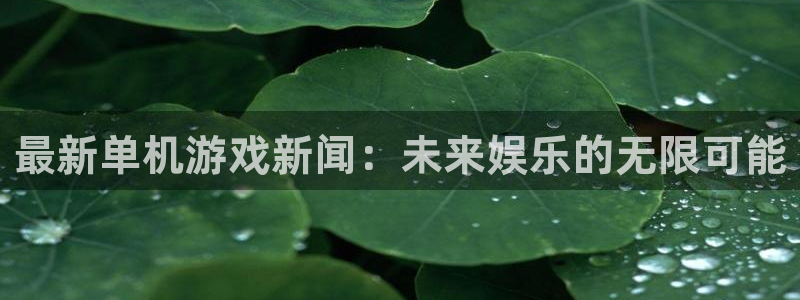 高德娱乐网页登录入口官网：最新单机游戏新闻：未来娱乐的无限可