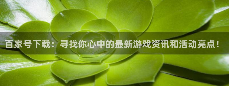 高德娱乐平台官网入口：百家号下载：寻找你心中的最新游戏资讯和