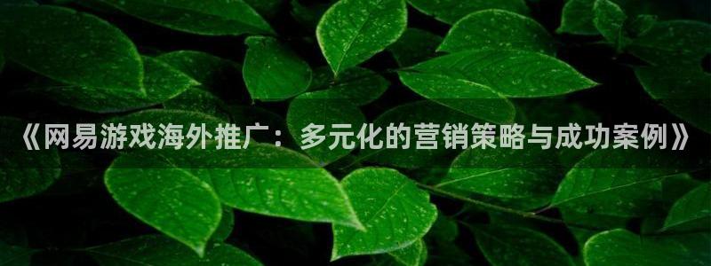 高德娱乐网址官网：《网易游戏海外推广：多元化的营销策略与成功