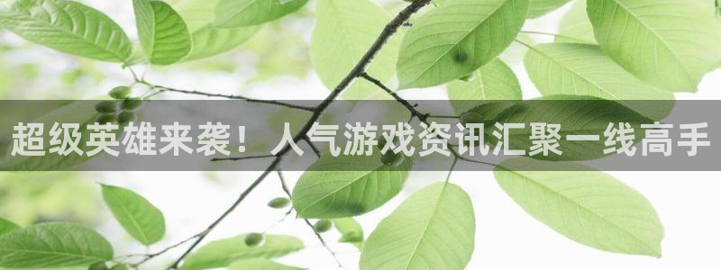 高德娱乐注册登录平台：超级英雄来袭！人气游戏资讯汇聚一线高手