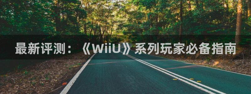高德娱乐app下载地址：最新评测：《WiiU》系列玩家必备指