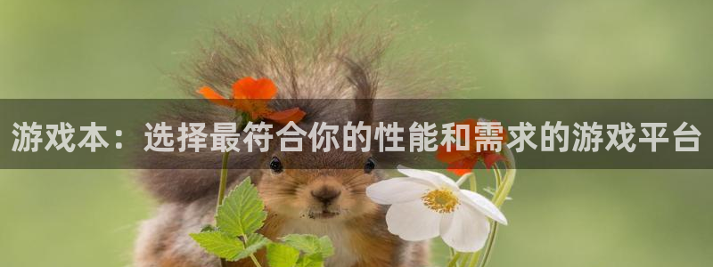 高德娱乐注册地址：游戏本：选择最符合你的性能和需求的游戏平台