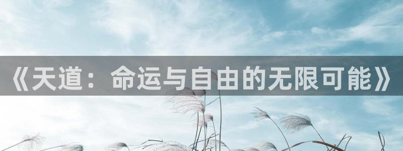 高德娱乐网页登录入口下载：《天道：命运与自由的无限可能》